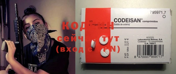 прущие грибы Горняк
