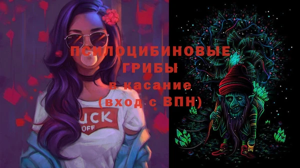 крисы Горнозаводск