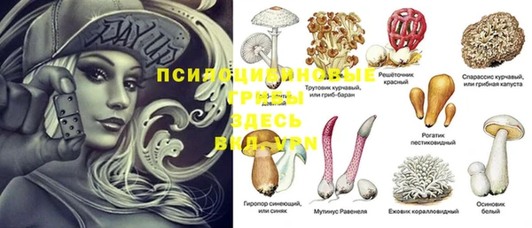 таблы Вяземский