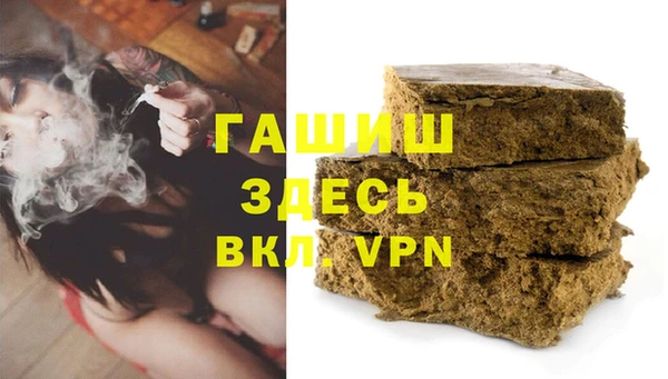прущие грибы Горняк