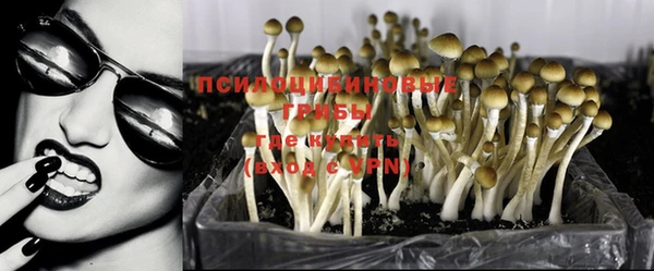 таблы Вяземский