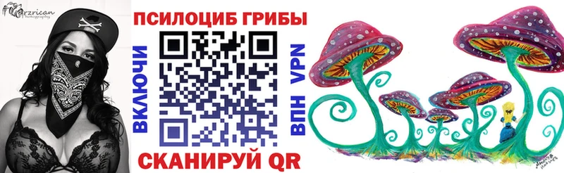 Псилоцибиновые грибы Psilocybe  Заринск 